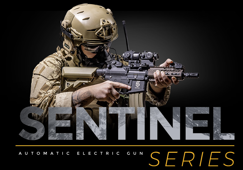 home-sentinel.jpg